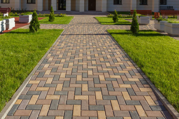 Best Driveway Paving Near Me  in Clayton, NJ